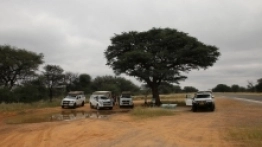 Tabliczki „biwakujesz na własną odpowiedzialność” stanowią regułę ostrzeżeń przed dziką zwierzyną w miejscach sprzyjających postojom - zdjęcie 10